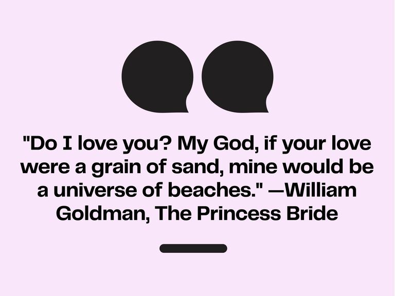 I Love You Quotes For Her The Princess Bride