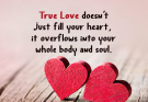 150+ Beautiful True Love Quotes to Appreciate Love In All Of Its Forms