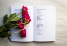80+ Most Romantic Love Quote From Book from Literature