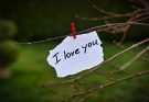 170+ Soulmate Quotes To Celebrating the Deepest Connections